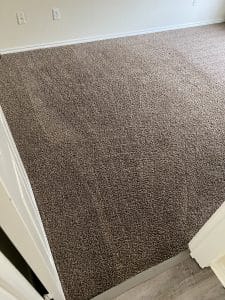 Carpet cleaning services